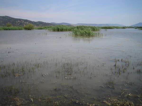 Lake Belevi