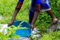 Projects Futurewater - 