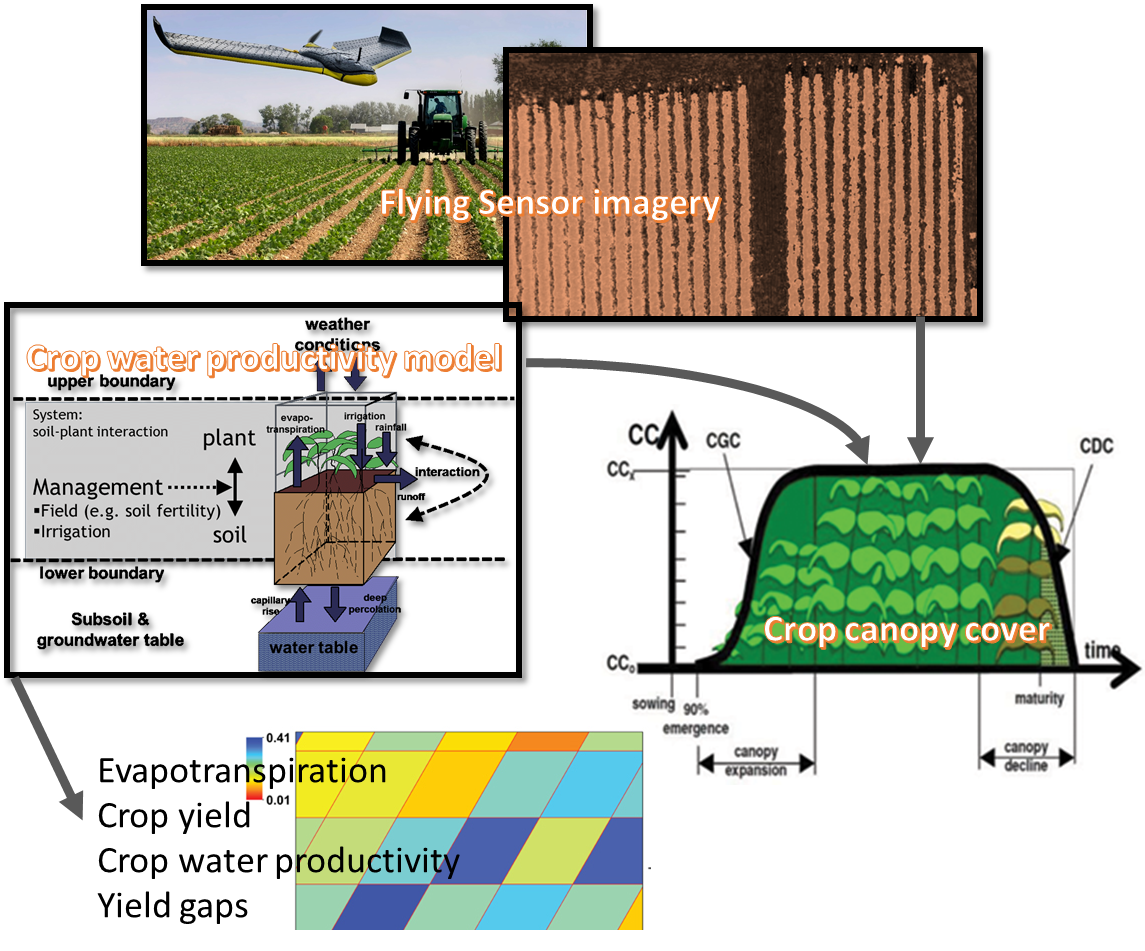 Crop Growth Models FutureWater